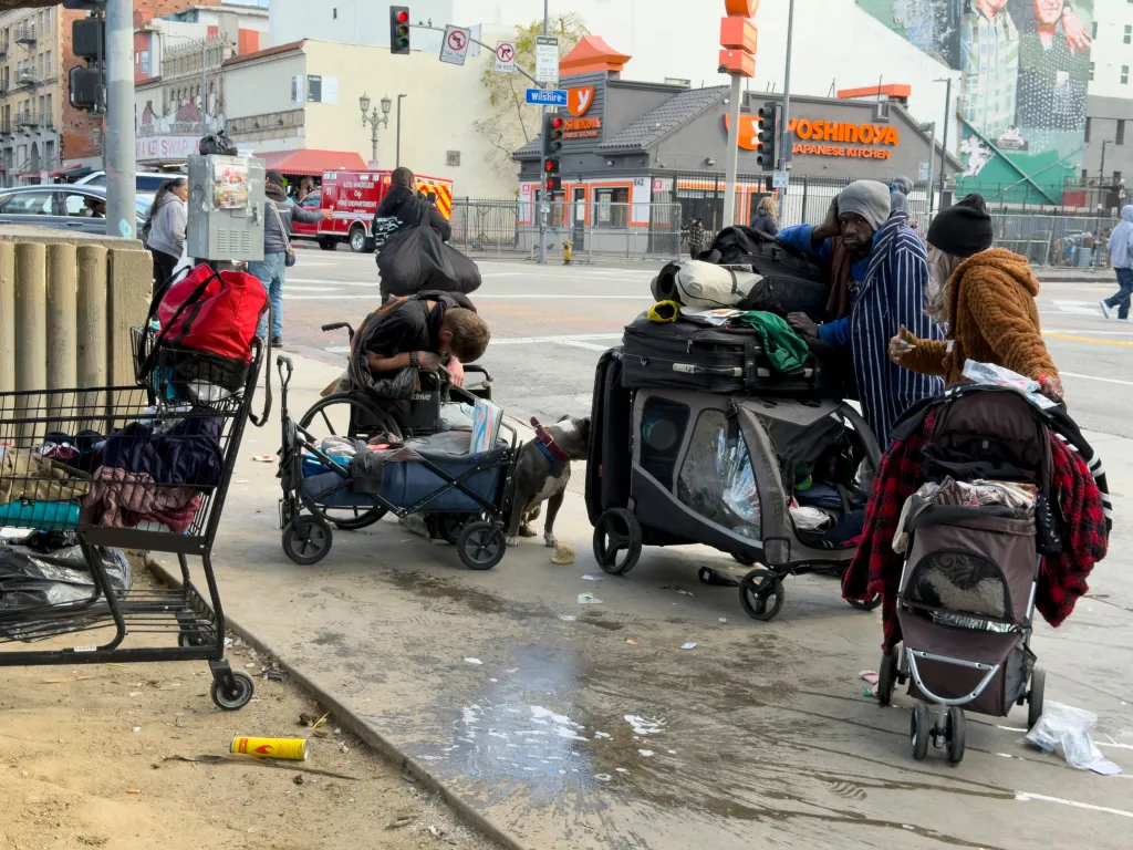 People experiencing homelessness with their belongings in carts and a dog on a street in MacArthur Park, Los Angeles.
