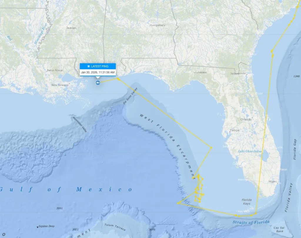 The ping placed the shark near the Chandeleur Islands, a chain of barrier islands in the Gulf of America off the coast of Louisiana.