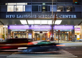 Their Transgender Child’s Health Care Had Ended. What Now?