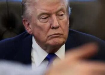 ‘Dude, what are you doing?’ Trump called out for ignoring court’s political lifeline