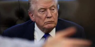 ‘Dude, what are you doing?’ Trump called out for ignoring court’s political lifeline