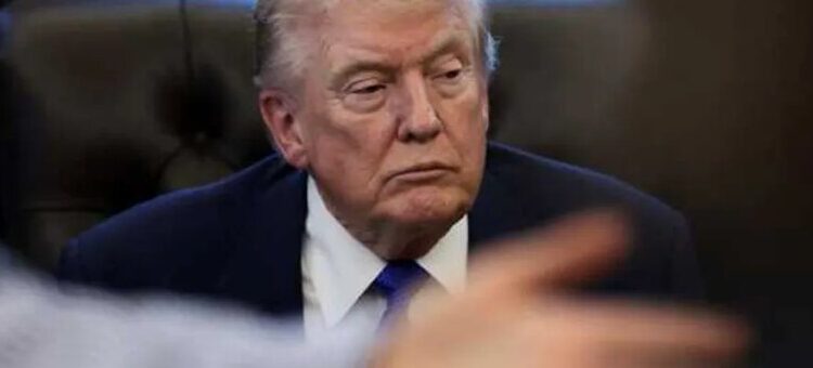 ‘Dude, what are you doing?’ Trump called out for ignoring court’s political lifeline