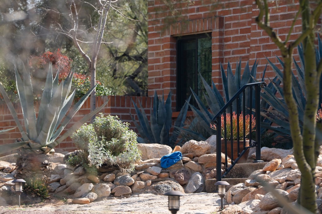 A house in Tucson, Arizona, with a brick wall and various plants, including agave.