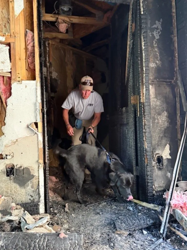 Nassau Fire Marshal K9 Leah sniffing out accelerants at a murder mystery case in a burned building with her handler, investigator Matthew Kerin.