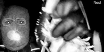 The 44 Seconds of Video That Show the Guthrie Abduction Suspect