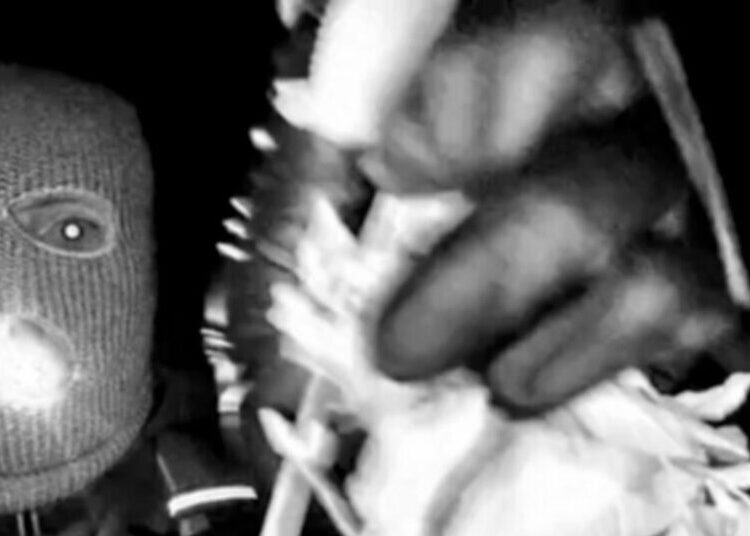 The 44 Seconds of Video That Show the Guthrie Abduction Suspect