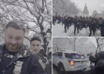 Mob descends on NYC park for epic snowball fight — but scene turns chaotic as it torments cops