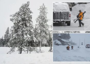 Tahoe avalanche victims allegedly took most dangerous escape route — cops launch criminal investigation