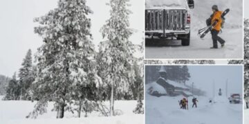 Tahoe avalanche victims allegedly took most dangerous escape route — cops launch criminal investigation