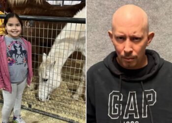 Texas girl, 10, shot by crazed driver during road rage incident while she was in back of parents’ car on way to school