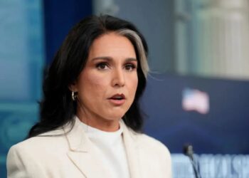 Tulsi Gabbard denies wrongdoing over delayed whistleblower complaint referral to Congress members: ‘Baseless’