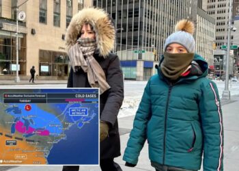NYC to finally start thawing out with warmer temps finally in the forecast