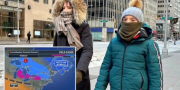 NYC to finally start thawing out with warmer temps finally in the forecast