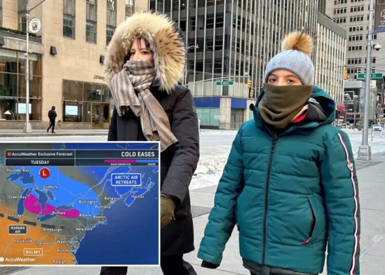 NYC to finally start thawing out with warmer temps finally in the forecast