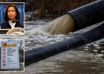 DC mayor declares emergency, asks President Trump for help on sewage spill on the Potomac