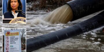 DC mayor declares emergency, asks President Trump for help on sewage spill on the Potomac