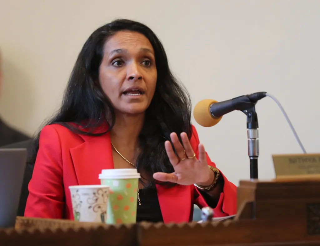 Nithya Raman, a Los Angeles City Council Member, speaks at a Homeless and Housing meeting.
