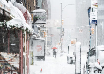 A Snowstorm in New York, in Five Pictures