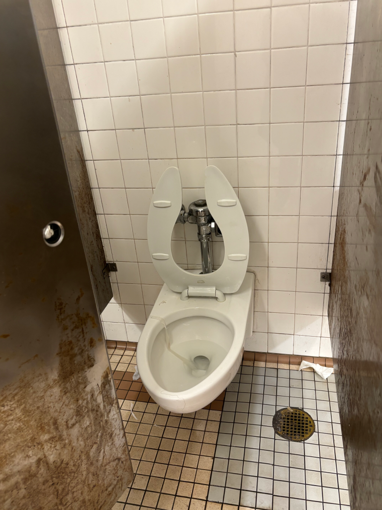 A dirty women's restroom at the 42nd St Bryant Park subway station.