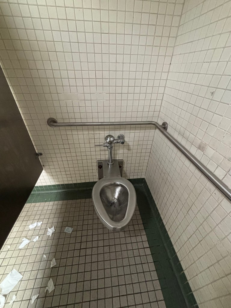 A metallic toilet in a subway women's bathroom at Jamaica 179th St F train station.
