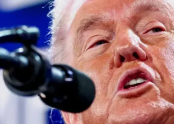 ‘He’s just blatantly lying’: Trump called out over ‘ecological disaster’ blame game