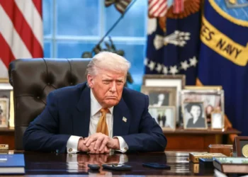 Flailing Trump is now ‘desperate’ as bid to steal congressional seats flops: expert