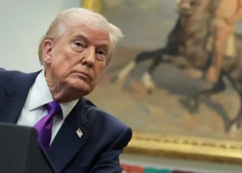 Trump just put vulnerable Republicans in a bind with ‘risky’ move: report