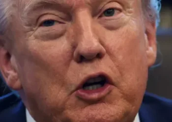 Trump’s ‘flamethrower’ attack on House Republican’s new wife backfires after flub