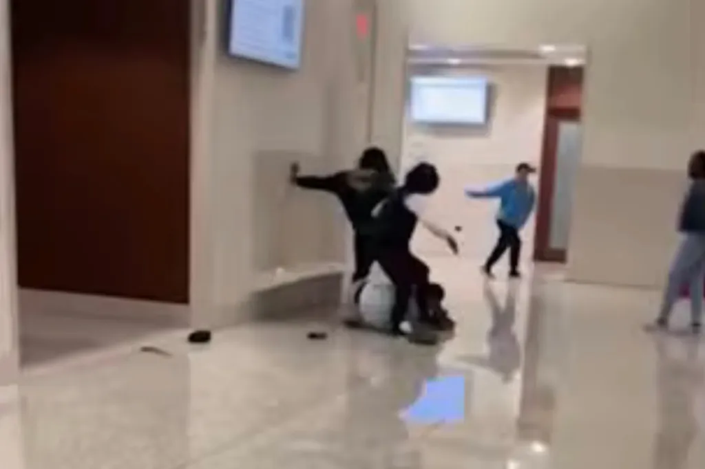 Video shows Snype rushing McKnight and throwing punches and kicks before an officer used a Taser to stop him.