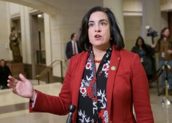 Democrats’ theft of  Staten Island’s House seat is a fresh  blow to NY’s economy