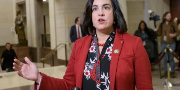 Democrats’ theft of  Staten Island’s House seat is a fresh  blow to NY’s economy