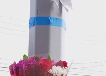 11-Year-Old Girl Struck and Killed by School Bus in Brooklyn