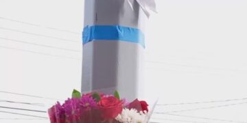 11-Year-Old Girl Struck and Killed by School Bus in Brooklyn