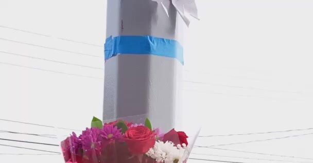 11-Year-Old Girl Struck and Killed by School Bus in Brooklyn