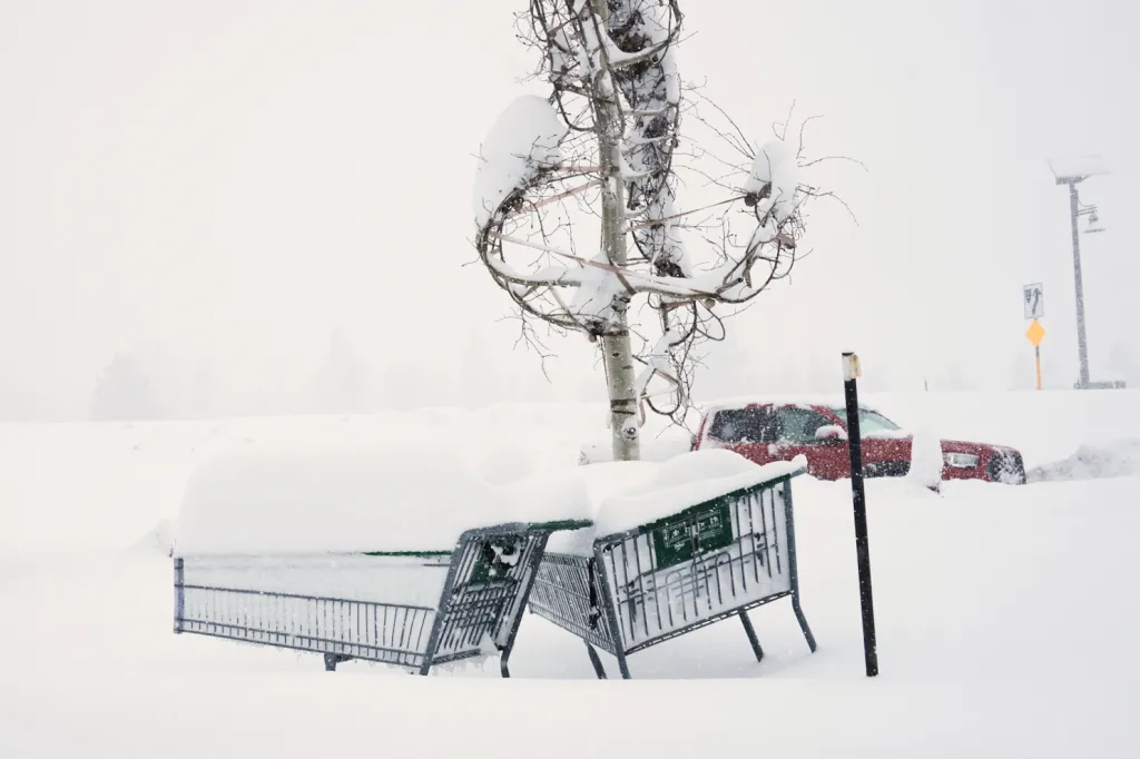 Shopping carts buried in deep snow next to a snow-covered car and tree.