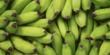 25 foods that are rich in gut-friendly resistant starch
