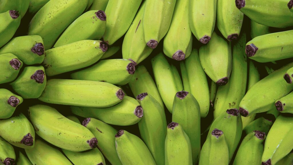 25 foods that are rich in gut-friendly resistant starch