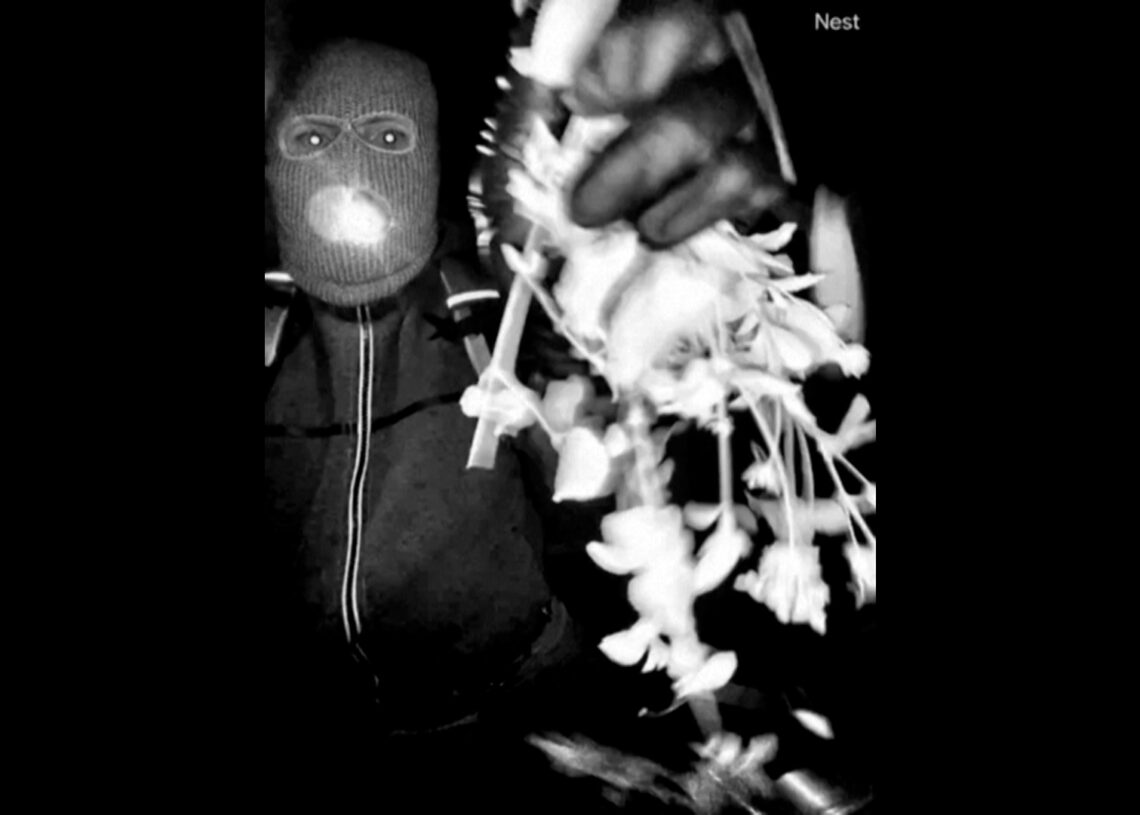 Police search Arizona property in disappearance of Nancy Guthrie