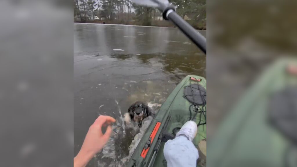 Teen grabs kayak, paddles through icy pond to rescue neighborhood dog