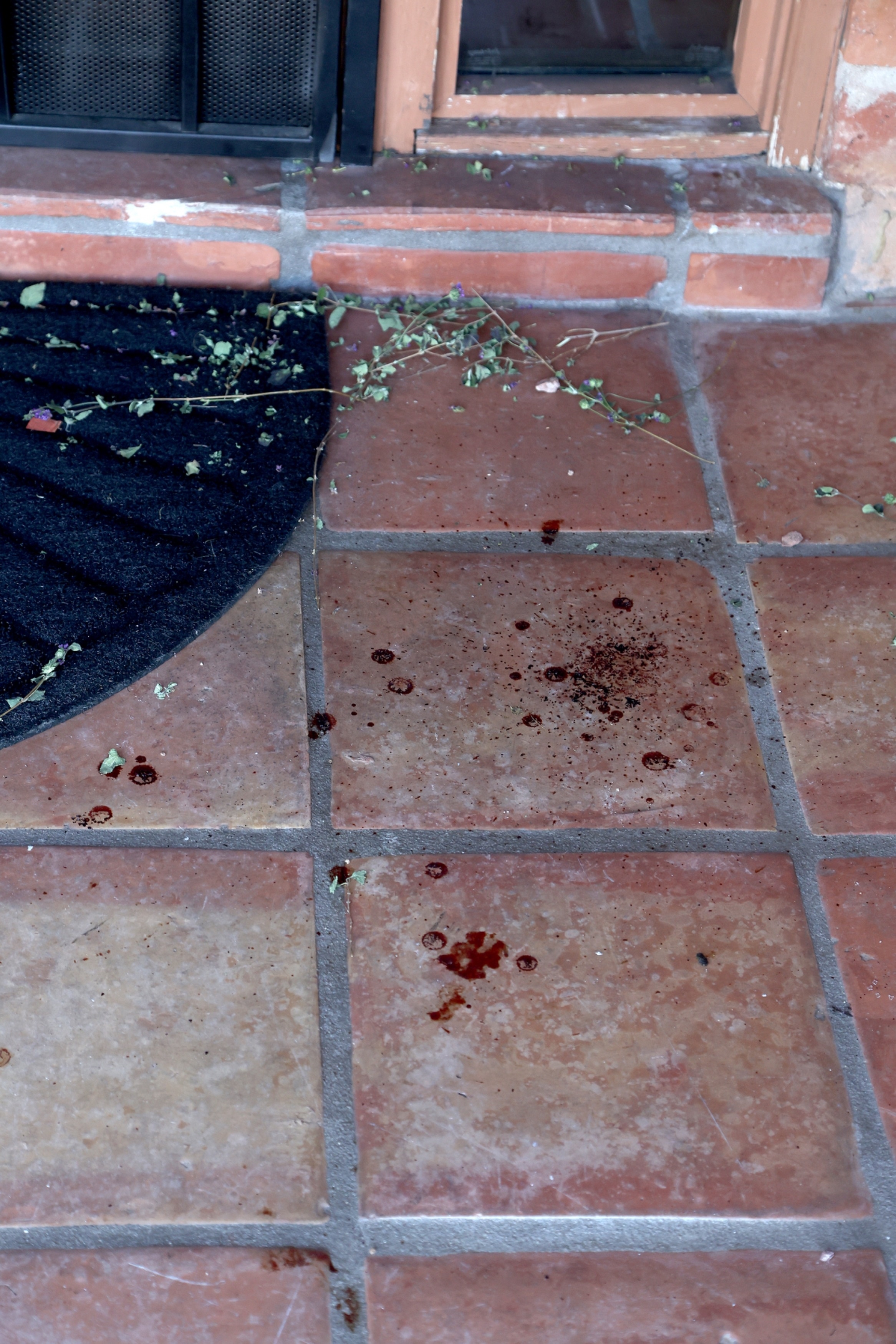 Possible blood spatters are seen at the front door of Nancy Guthrie's Tucson home.