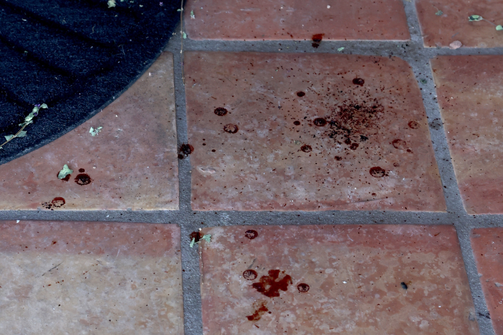 Possible blood spatters on the terracotta tiled floor at the front door of missing Nancy Guthrie's Tucson home.