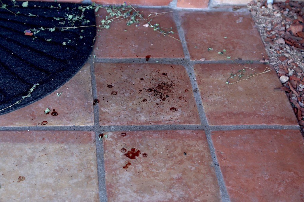 Possible blood spatters on the front door tiles of Nancy Guthrie's home.