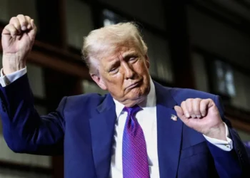 ‘Look at this drop!’ Data guru gasps at ‘eye-popping’ Trump numbers