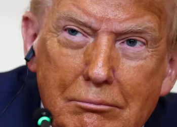 Economist gives Trump ‘basic economics’ class: ‘Neither Trump nor his advisors understand’