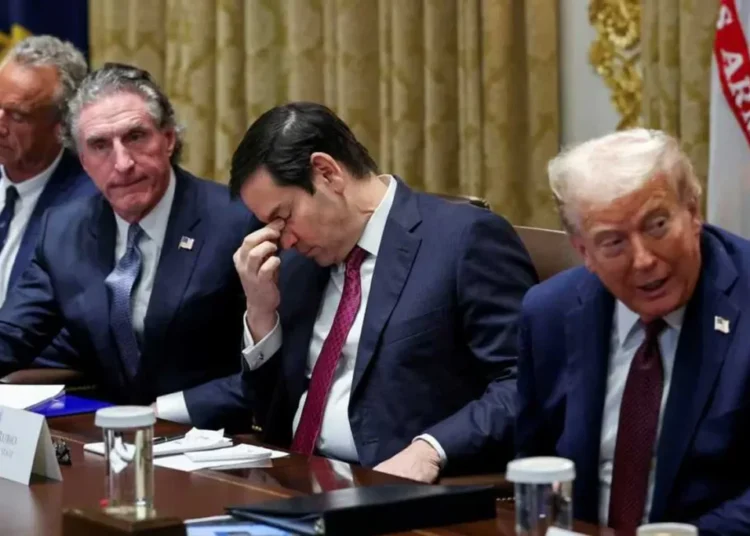 Trump could be preparing ‘tacky MAGA horror show’ for end of his presidency: analysis