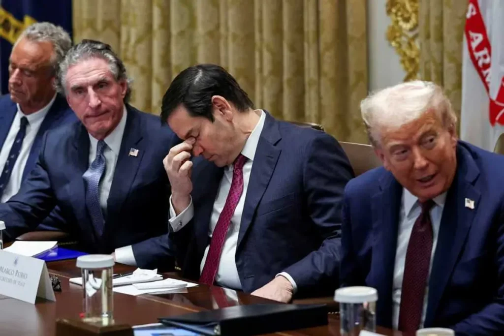 Trump could be preparing ‘tacky MAGA horror show’ for end of his presidency: analysis