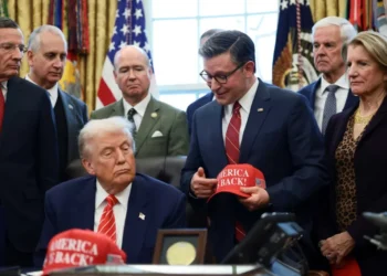 Mike Johnson catches heat after ‘deeply irresponsible’ election take: ‘Disgraceful stuff’