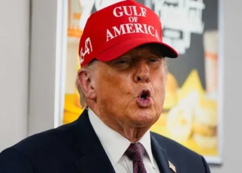 ‘Needless display of brute punishment’: WSJ editorial rips into Trump’s war with AI firm