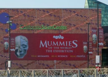 LAPD kills man allegedly holding gun near California Science Center, officials say