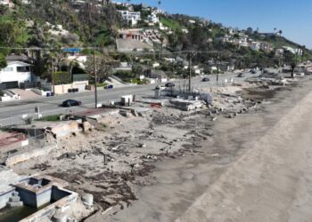 Malibu, ’emotionally and physically scarred,’ is suing California, L.A., others over Palisades fire